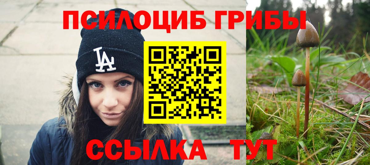 Псилоцибиновые грибы Psilocybine cubensis Юрга
