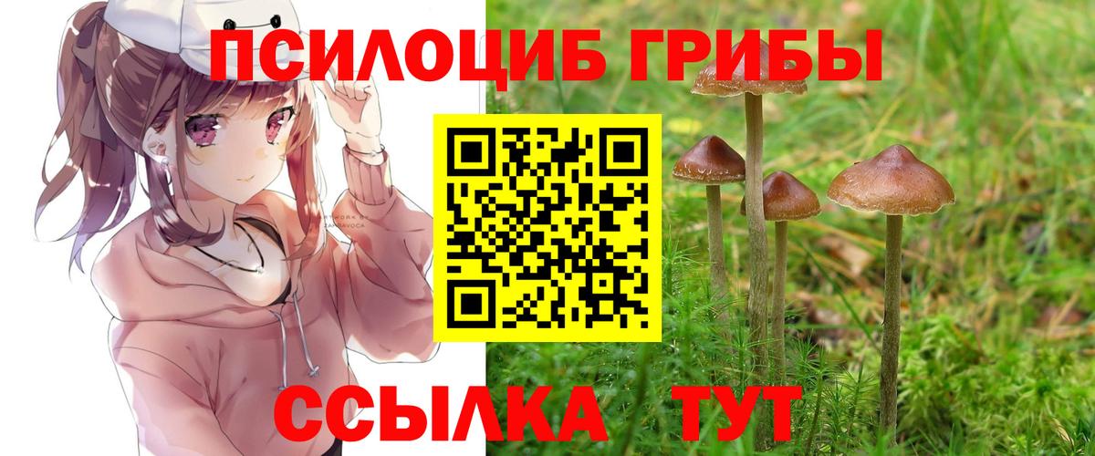 Юрга  Галлюциногенные грибы GOLDEN TEACHER  Вход с VPN 